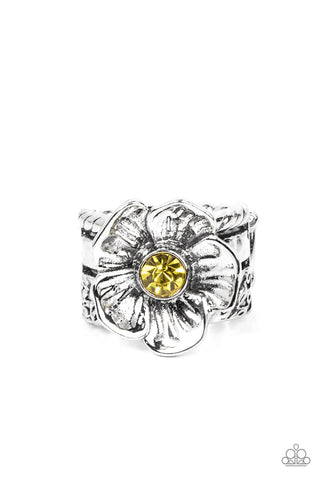 Prismatically Petunia - Yellow Ring